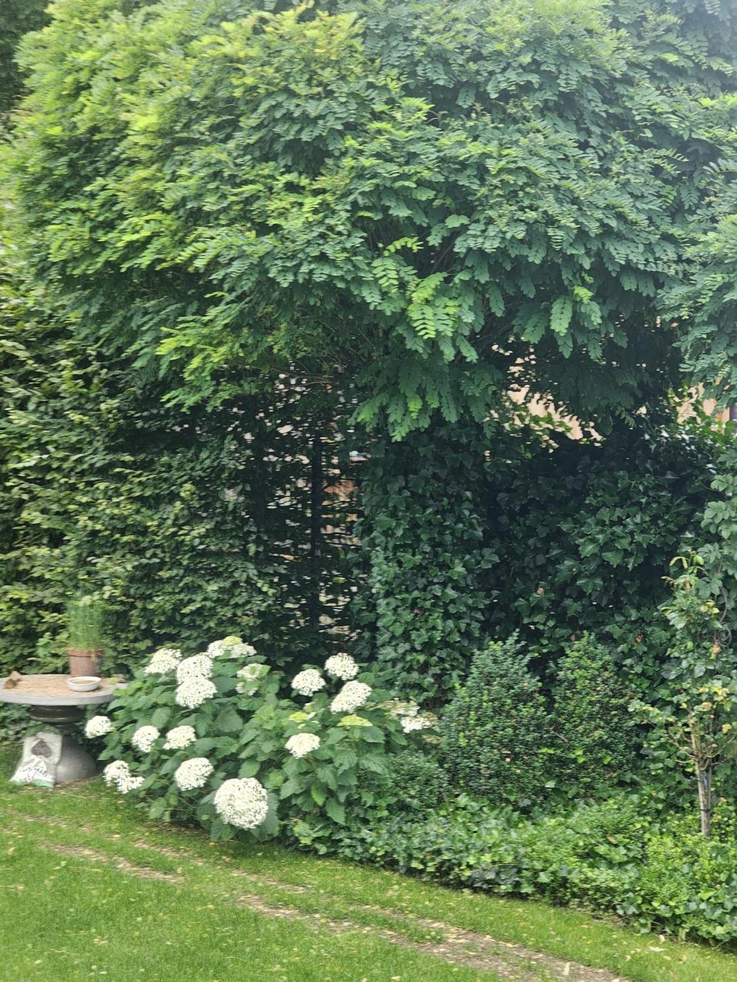 Gemuetliche Wohnung Mit Sauna Neumarkt in der Oberpfalz Kültér fotó
